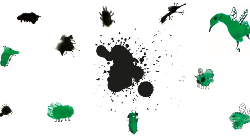 Mondo insetto. Un laboratorio on-line